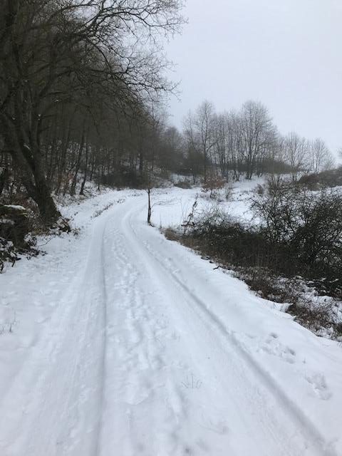 Einladung zur Winterwanderung am 11.03.2023